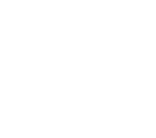 icon-pp1